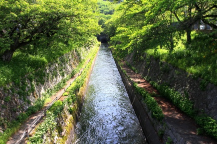 ÈüÇʸÐÁÁ¿å-8