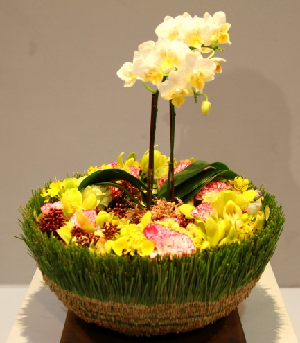 しずおか蘭展-8
