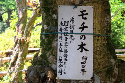 竹生島-8