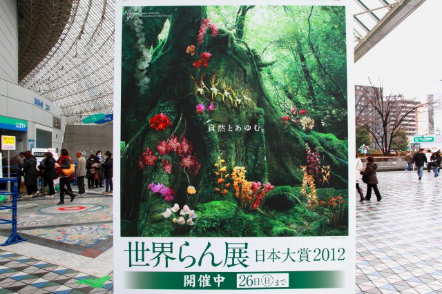 世界らん展-2