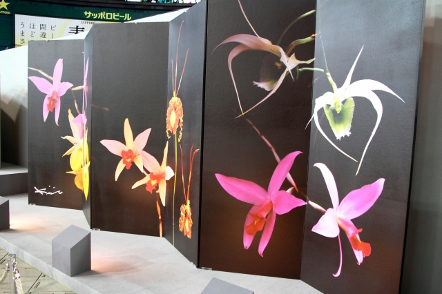世界らん展-6