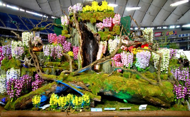 世界らん展-10