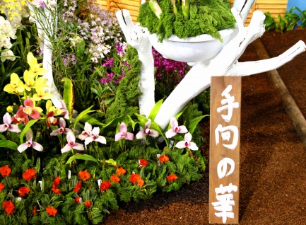 世界らん展-8