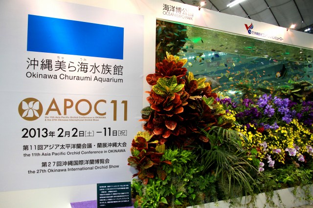 世界らん展-6