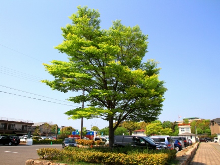 びわ湖の風景-11