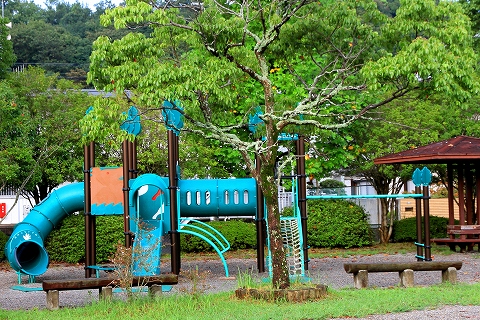 朝の散策-4