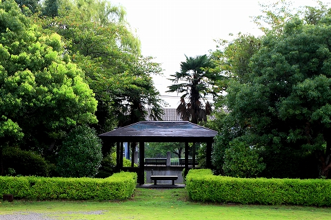 朝の散策-6