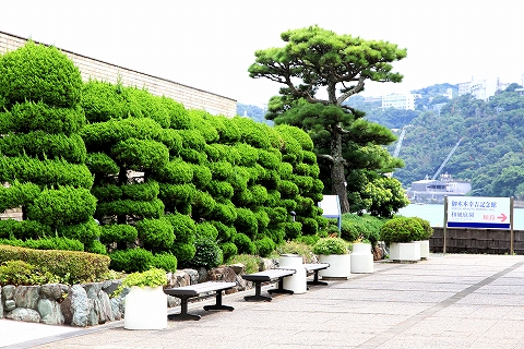 島内風景-4