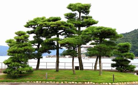 島内風景-2