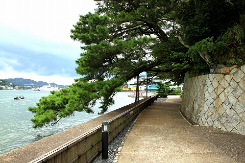 和風庭園-2