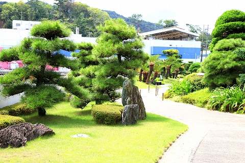 和風庭園-7