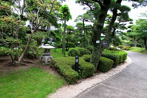 和風庭園-10