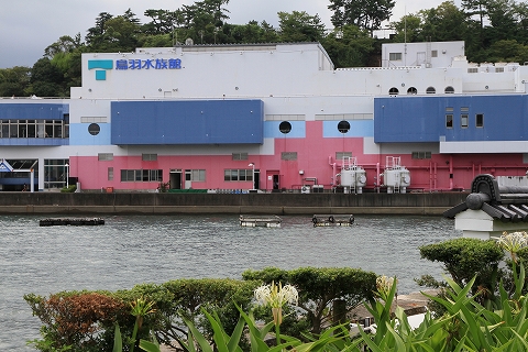 鳥羽水族館-1