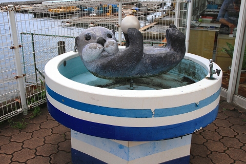 アザラシ君