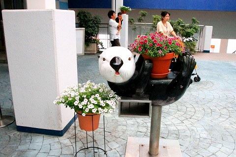 鳥羽水族館-3