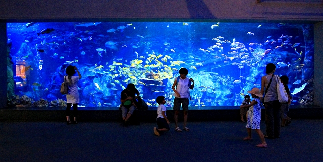 鳥羽水族館-1