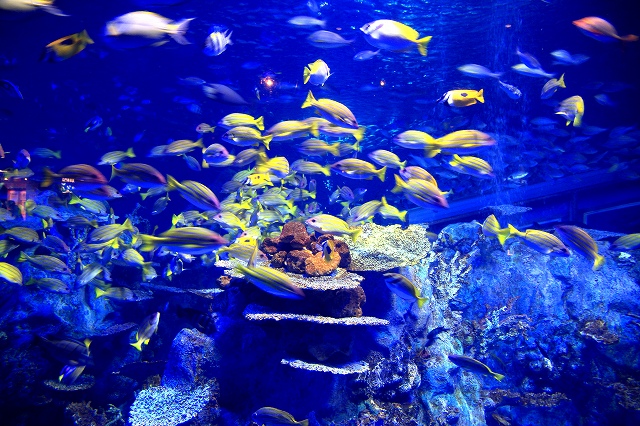 鳥羽水族館-2