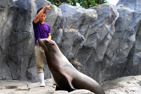 鳥羽水族館-5