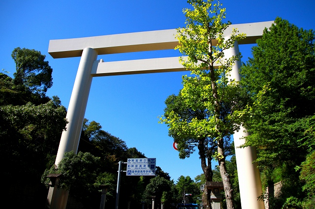 大きな鳥居-1