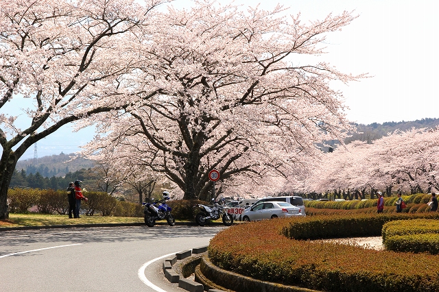 冨士霊園-6