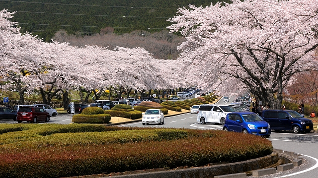 冨士霊園-7