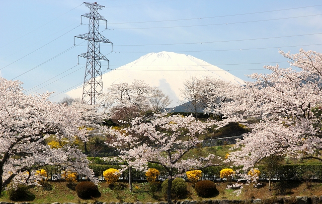 冨士霊園-10