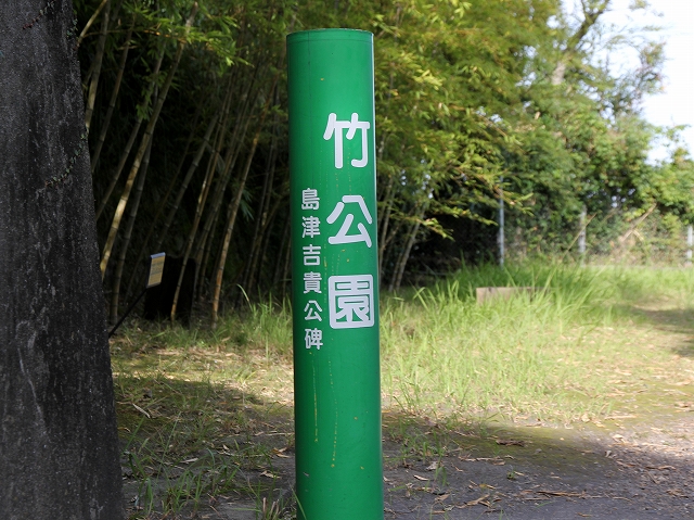竹公園-1