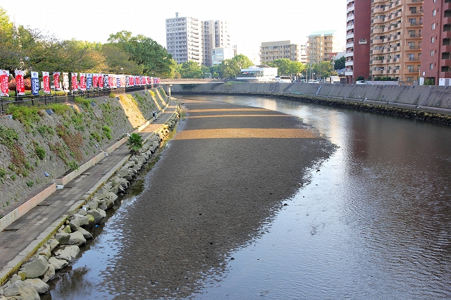 甲突川