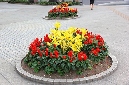 花壇-1