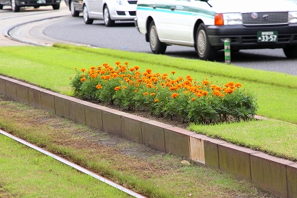 花壇-2