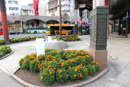 花壇-3