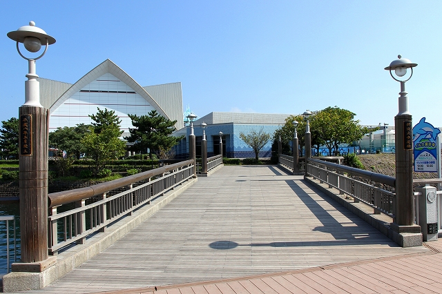 かごしま水族館-1
