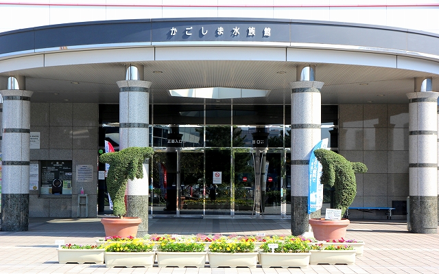 かごしま水族館-3