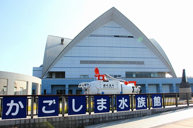 かごしま水族館-14