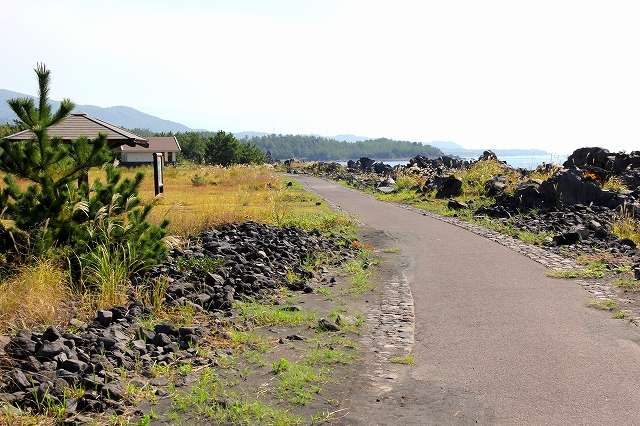 遊歩道