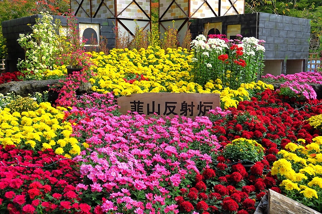 三島・楽寿園-4