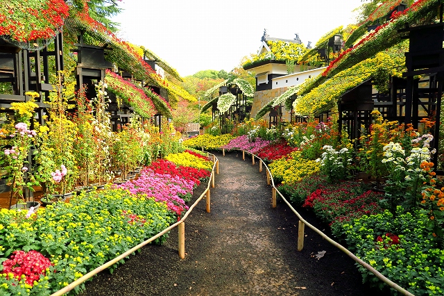 三島・楽寿園-12