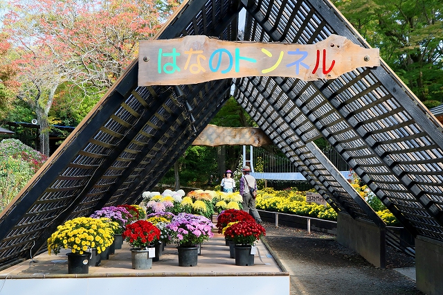 三島・楽寿園-13