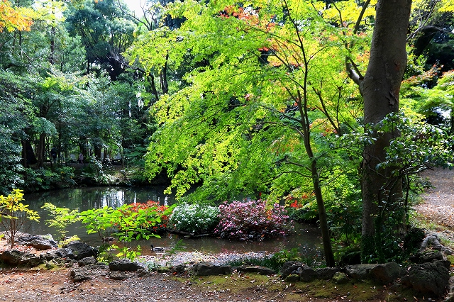 三島・楽寿園-14