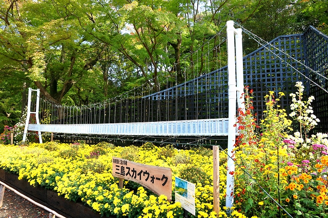 三島・楽寿園-16