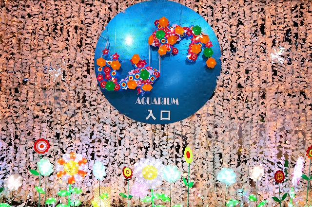 金魚水族館-1