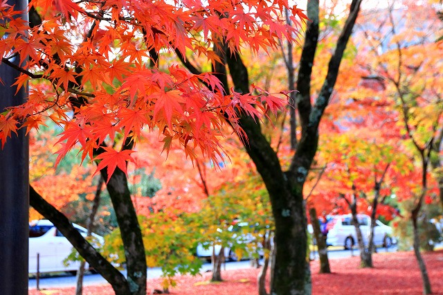 京都・天龍寺