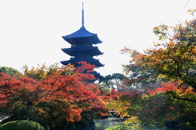 京都・東寺