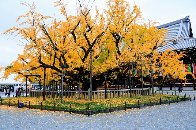 京都・西本願寺