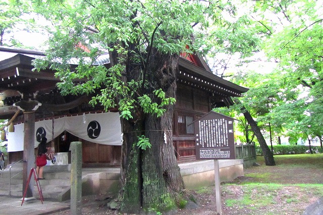 八幡原史跡公園-12