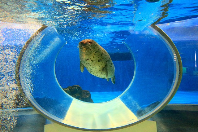 のとじま水族館