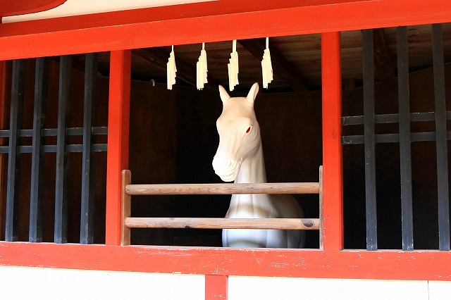 神馬-2