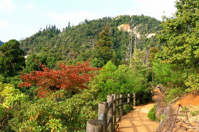 登山道-1