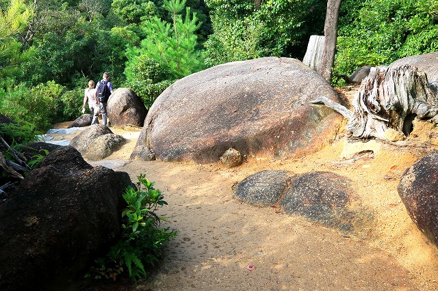 登山道-2