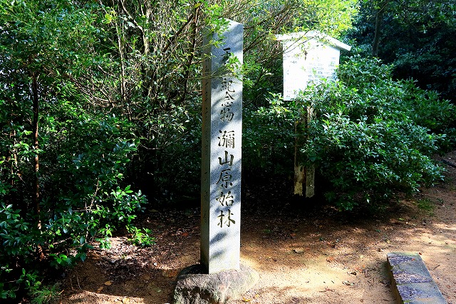 石碑